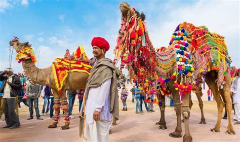 camel festival in rajasthan